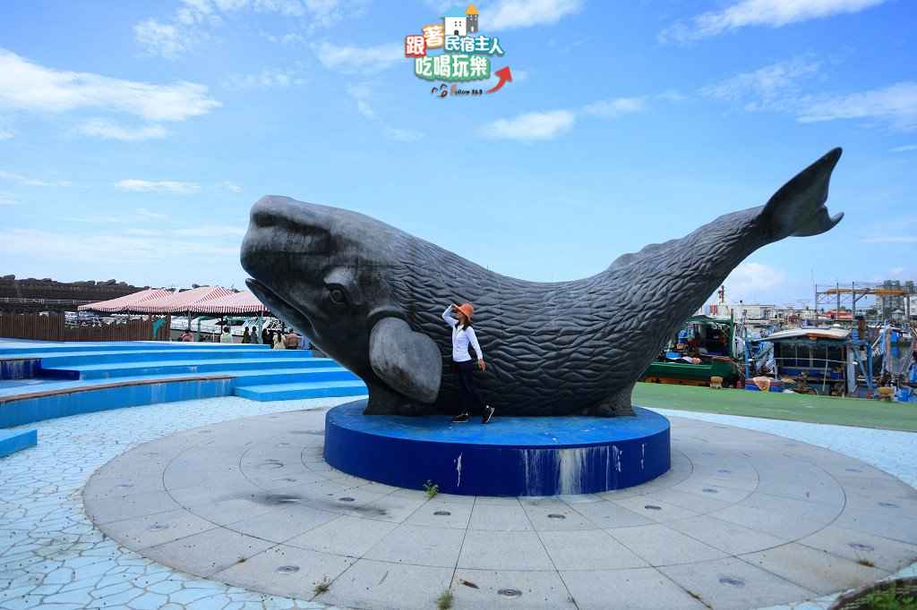 花蓮賞鯨-太平洋上體驗與海豚、鯨魚同行的樂趣